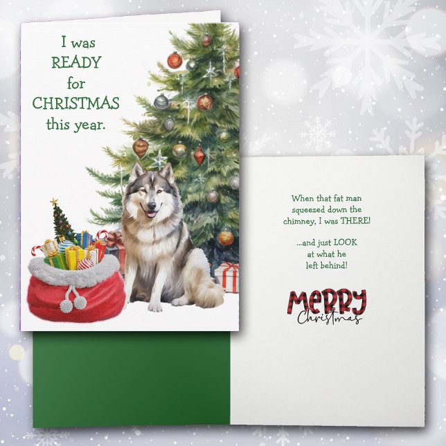 Lustigt Malamute-Redo - jul Helgkort (Skapare uppladdad)