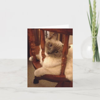 Lustigt med en attityddocka kort