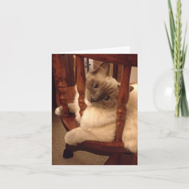 Lustigt med en attityddocka kort (Framsida)