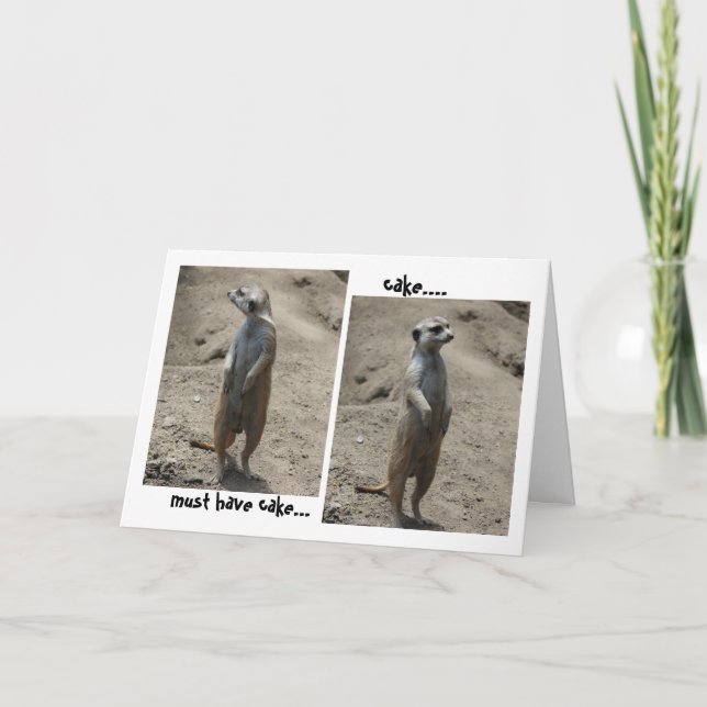 Lustigt Meerkat Birthday-kort, måste ha kaka! Kort (Framsida)