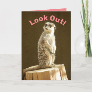 Lustigt Meerkat: Se upp! Du är ett medelår äldre Kort
