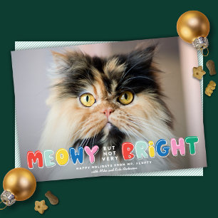 Lustigt Meowy men inte särskilt lätt foto av cute Julkort