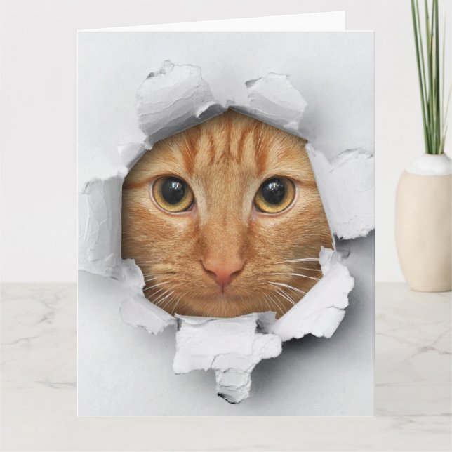 Lustigt Mischievevous Cute Ginger Cat Kort (Framsida)