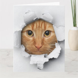 Lustigt Mischievevous Cute Ginger Cat Kort
