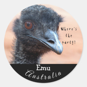 Lustigt nära en Emu i Australien Runt Klistermärke