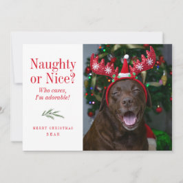 Lustigt Naughty eller Nice Pet-julfotkort Julkort