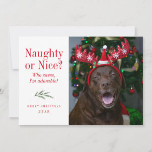 Lustigt Naughty eller Nice Pet-julfotkort Julkort
