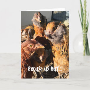 Lustigt Nyfiket Amber Brown Chickens närfoto Kort