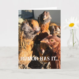 Lustigt Nyfiket Amber Brown Chickens närfoto Kort