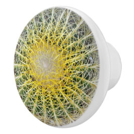 Lustigt obekväm Arid Cactus Knopp