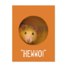 Lustigt optisk Illusion Råtta i Hål