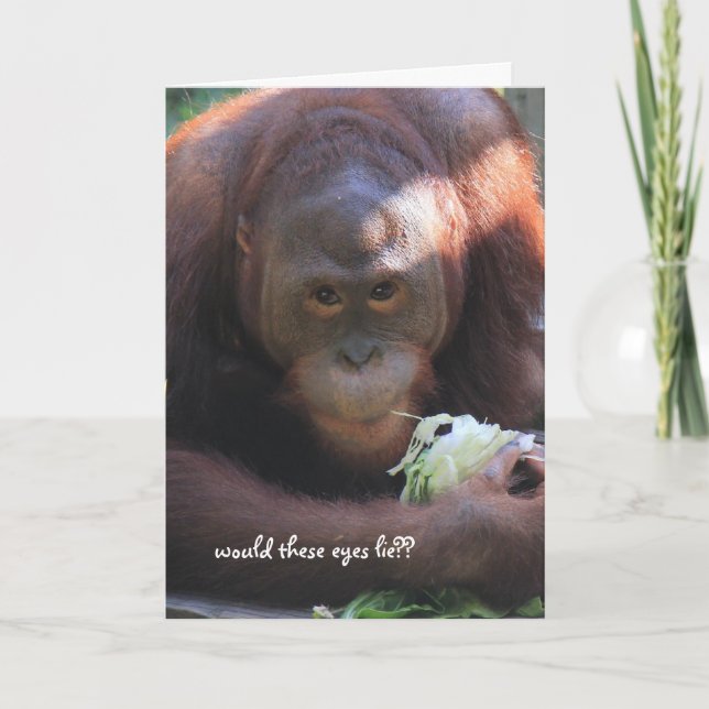 Lustigt Orangutan Birthday, Över Backe Kort (Framsida)