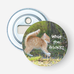 Lustigt överraskad Ginger Kitten. Vad är det? Flasköppnare