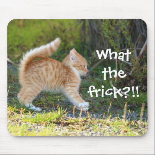 Lustigt överraskad Ginger Kitten. Vad är det? Musmatta