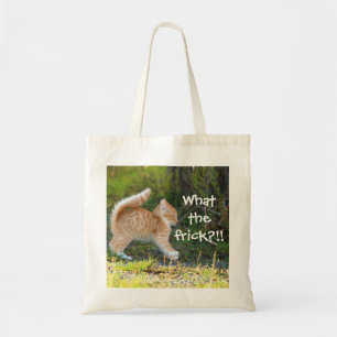 Lustigt överraskad Ginger Kitten. Vad är det? Tygkasse