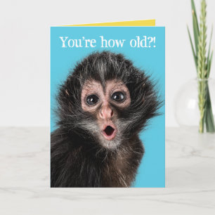 Lustigt överraskande Monkey 2-uttryck födelsedagen Kort