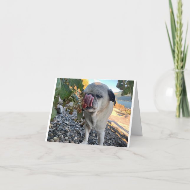 Lustigt på Pug-födelsedag Kort (Framsida)