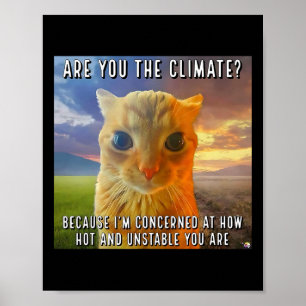 Lustigt par Valentine Orange Cat Meme är du Poster