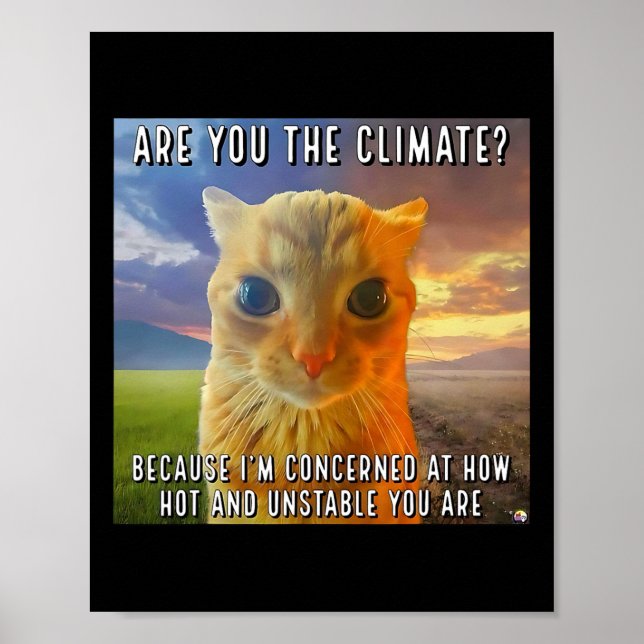 Lustigt par Valentine Orange Cat Meme är du Poster (Framsidan)