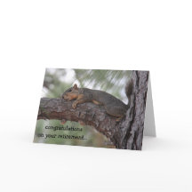 Lustigt pension-kort, återställ ekorre