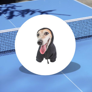 Lustigt Personlig Hund Foto Pingisboll
