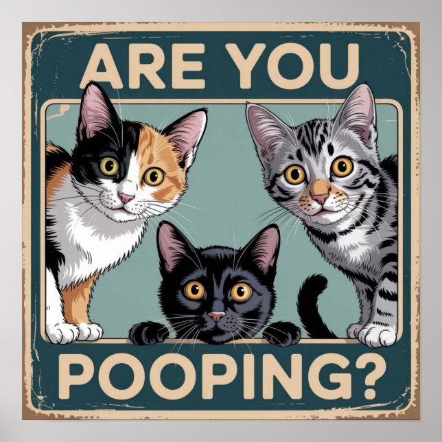 Lustigt "Pooping?" Calico, Tabby och Black Cat Poster (Framsidan)