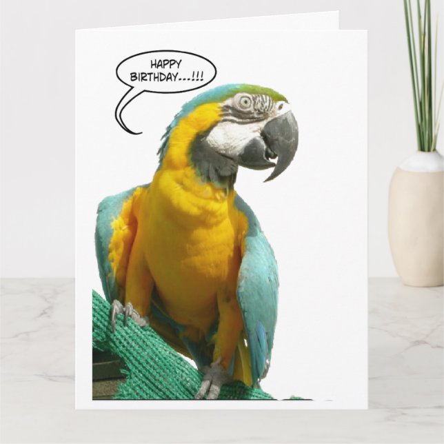 Lustigt pratking Parrot Birthday Big Greeting Card Kort (Framsida)