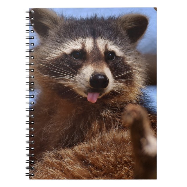 Lustigt Raccoon håller ut Tunga Anteckningsbok (Framsidan)