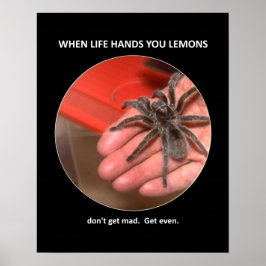 Lustigt råd Få inte råd ens Poster