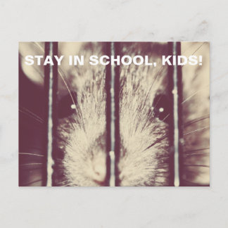 Lustigt Råtta i fängelset Vykort