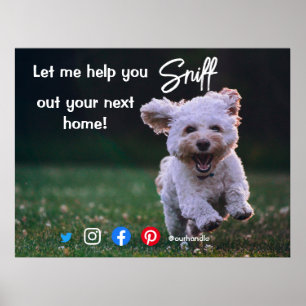 Lustigt, riktigt gods sniffa ut nästa hund poster