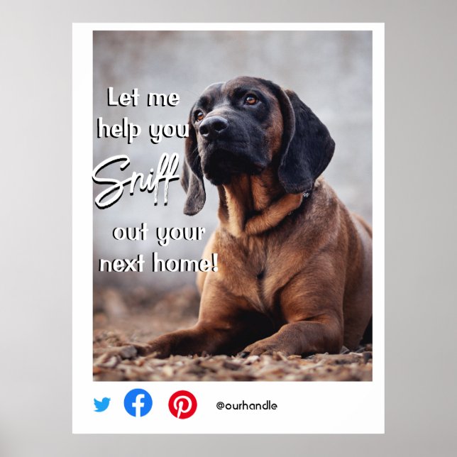 Lustigt, riktigt gods sniffar ut din nästa Hund Poster (Framsidan)