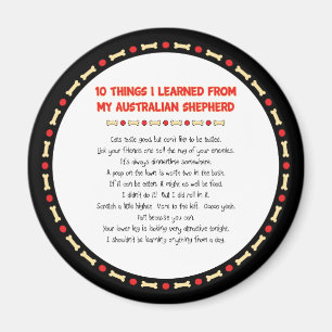 Lustigt Sak jag lärde mig från min Australian sh Magnet