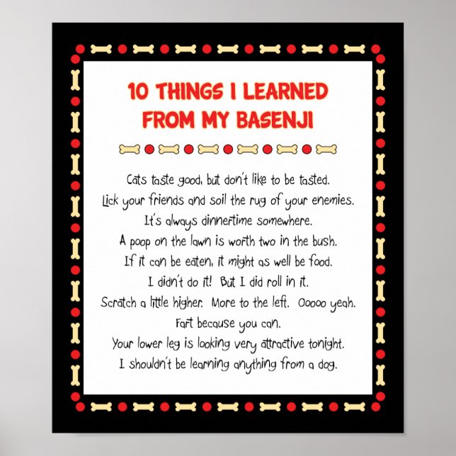 Lustigt Sak jag lärde mig från min baskiska Poster (Framsidan)