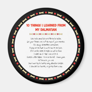Lustigt Sak jag lärde mig från min Dalmatien Magnet