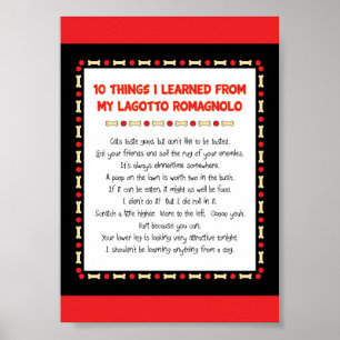 Lustigt Sak jag lärde mig från min Lagotto Romagno Poster