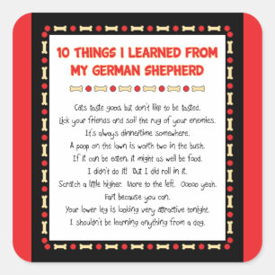 Lustigt Sak jag lärde mig från min tyska Shepherd Fyrkantigt Klistermärke