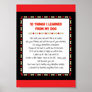 Lustigt Sak som jag lärde mig från mitt Hund Poster