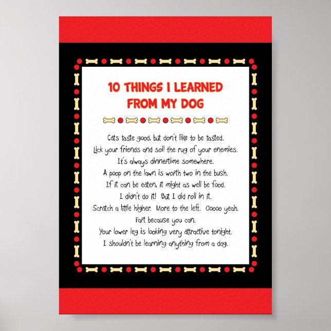 Lustigt Sak som jag lärde mig från mitt Hund Poster (Framsidan)