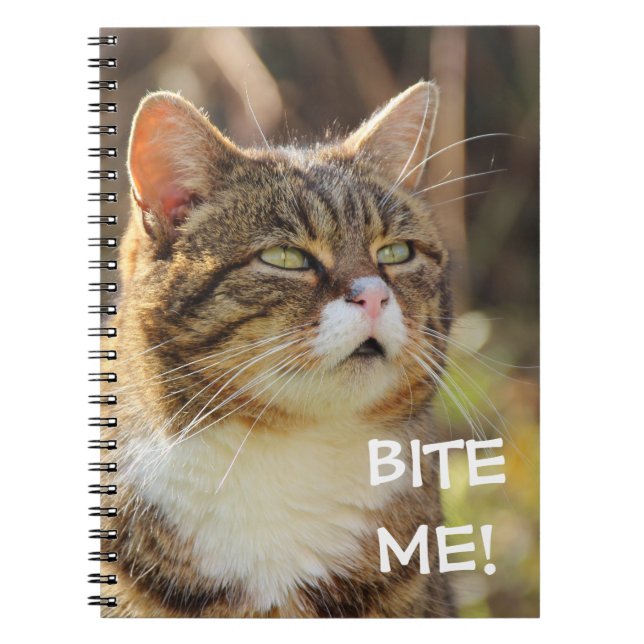 Lustigt Sassy Cat med Attitude Bita Me Anteckningsbok (Framsidan)