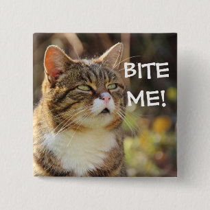 Lustigt Sassy Cat med Attitude Bita Me Knapp