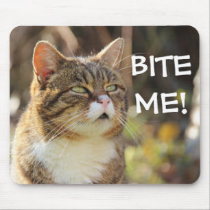 Lustigt Sassy Cat med Attitude Bita Me Musmatta