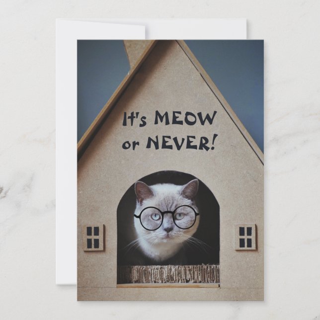 Lustigt skärande glasögon Det är Meow eller Aldrig (Framsida)