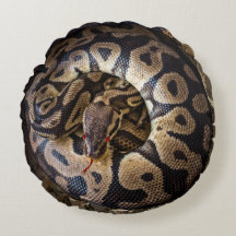 Lustigt Skojja Python Snake