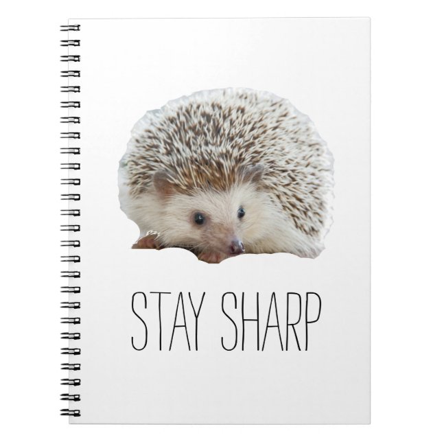 Lustigt söt hedgehog håll vass citathipster humor anteckningsbok (Framsidan)