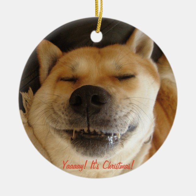 Lustigt, söt hund leende på jultoma julgransprydnad keramik (Framsidan)