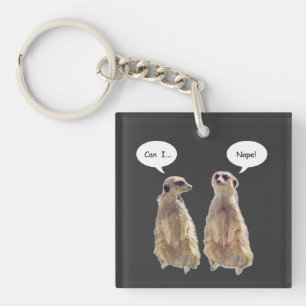 Lustigt, söt meerkats i konversationen