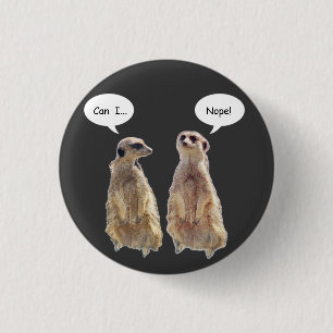 Lustigt, söt meerkats i konversationen knapp