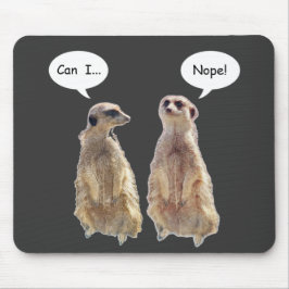 Lustigt, söt meerkats i konversationen musmatta