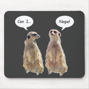 Lustigt, söt meerkats i konversationen musmatta